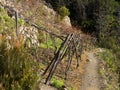 Cinque Terre detail - vineyard with path into the woods, winter Royalty Free Stock Photo